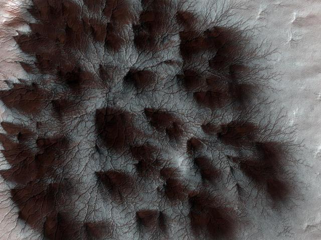 NASA:火星上遍布酷似“蜘蛛”的放射体